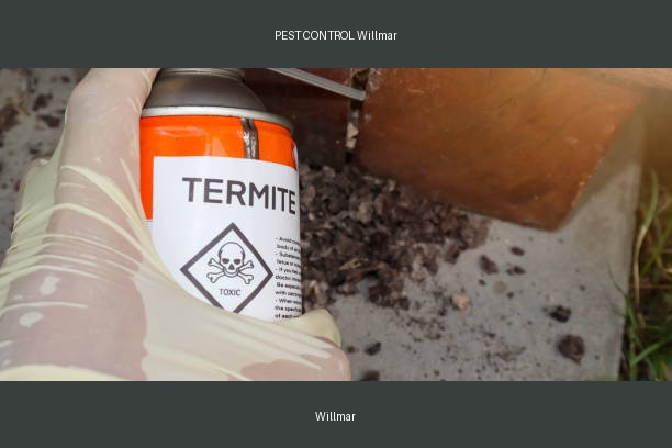 PEST CONTROL Willmar